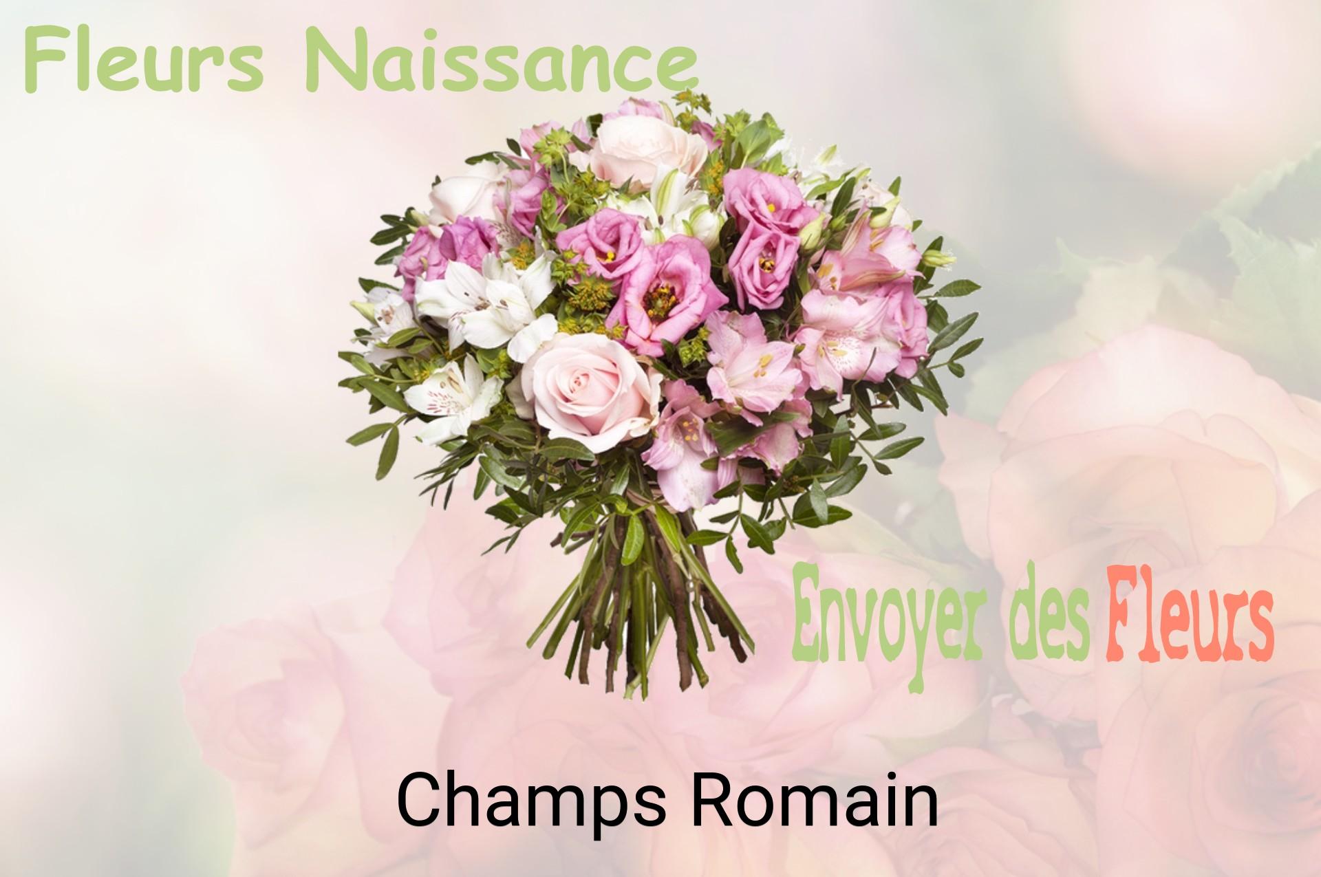 Bouquet de fleurs de naissance livré à Champs-Romain